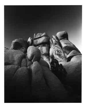 Jumbo Rocks California - Analogue Black and White Desert Rocks 2023