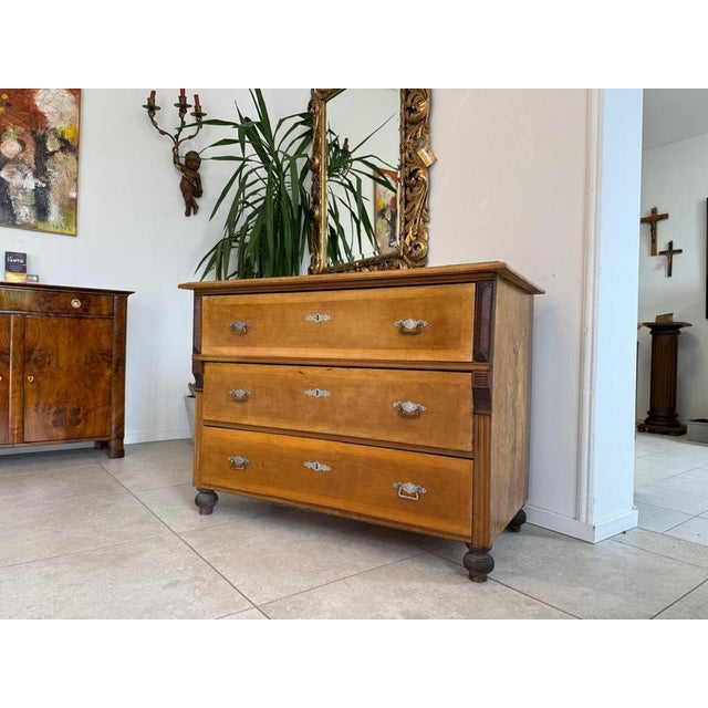 Gründerzeit Chest of Drawers in Walnut For Sale - Image 15 of 15