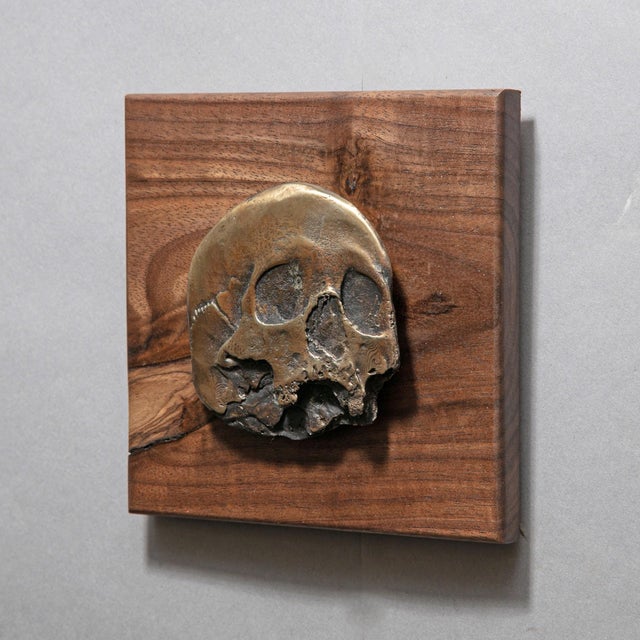Flat Skull by Dana Younger | Bronze and Walnut sculpture of a flat skull design For Sale - Image 4 of 4
