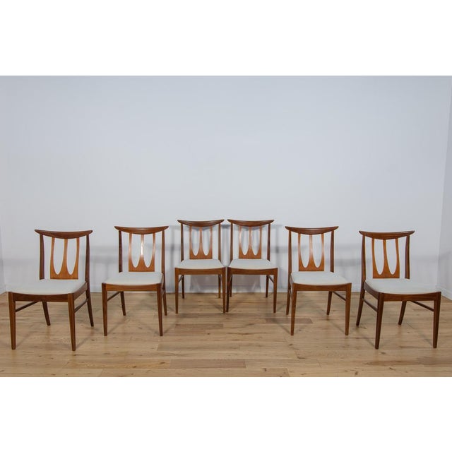 The Mid-Century dining chairs model Brasilia were manufactured by G-Plan in the UK during the 1960s. Complete restored....