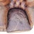 Wood Restoration Hardware Churchill Tufted Leather Armchair For Sale - Image 7 of 18