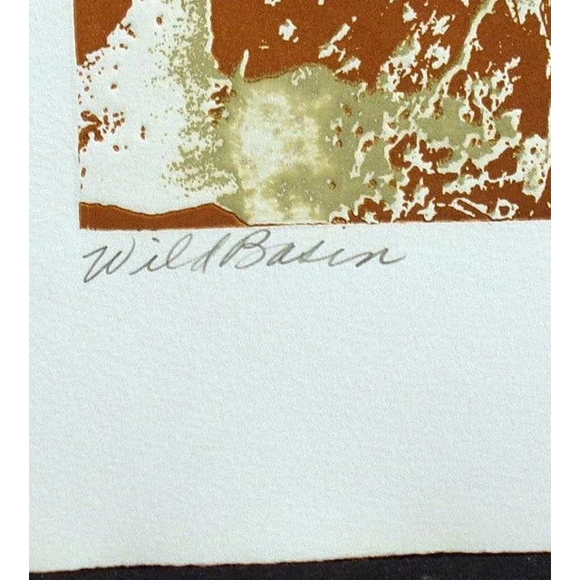 1980s "Wild Basin" Forest Landscape Etching by Paula Crane For Sale In Denver - Image 6 of 6