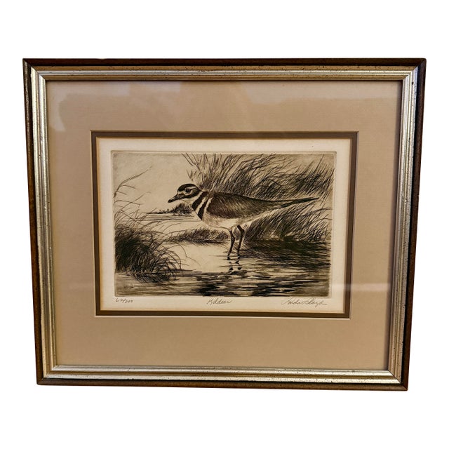 Mid-Century Linda Lloyd Kildeer Shorebird Original Signed Intaglio Etching 62/200 For Sale