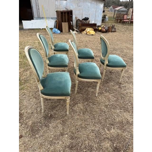 19th Century Louis XVl Dining Chairs - Set of 6 For Sale - Image 14 of 15
