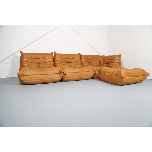 Ligne Roset Cognac Leather Togo Sofas by Michel Ducaroy for Ligne Roset, 2010s, Set of 4 For Sale - Image 4 of 18