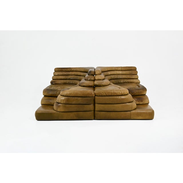 DS-1025 Terrazza Sofa by Ubald Klug for de Sede, 1970s, Set of 2 For Sale - Image 6 of 13