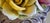 Vintage Italian Capodimonte Porcelain Rose Centerpiece Basket For Sale - Image 15 of 18