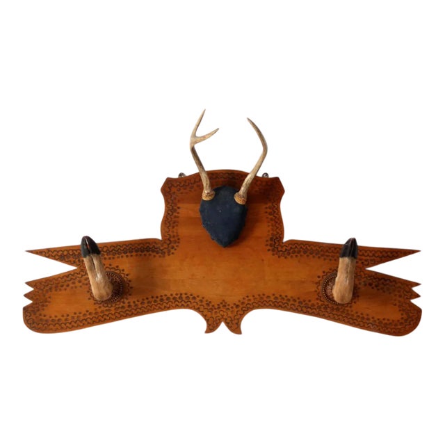 1950s Deer Antler and Hoof Mount For Sale