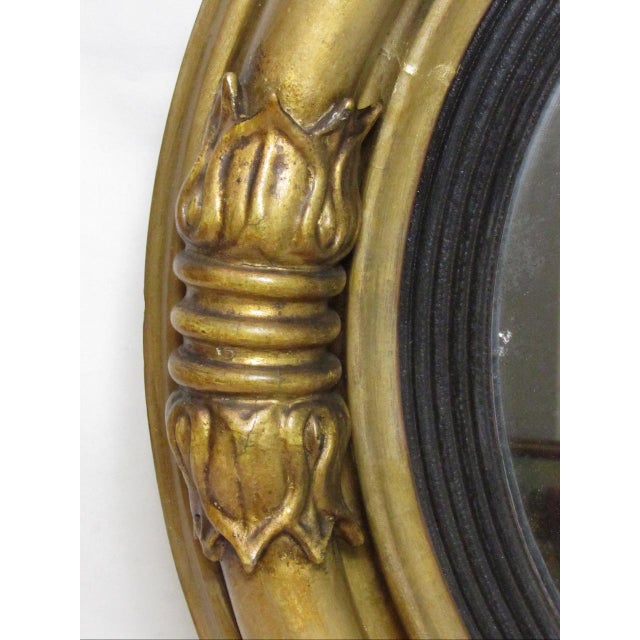 English Regency Giltwood Convex Mirror For Sale - Image 16 of 18