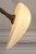 Hand-Sculpted Cast Bronze Hanging Lamp by William Guillon For Sale - Image 17 of 18