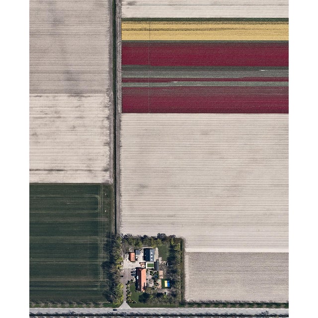 "AV_Tulip_Fields_002" Contemporary Limited Edition Fine Art Photograph Print by Bernhard Lang For Sale - Image 4 of 9