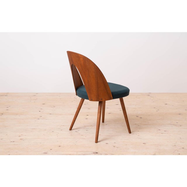 Blue Mid-Century Modern Dining Chairs by A. Šuman, 1960s, Set of 14 For Sale - Image 8 of 18