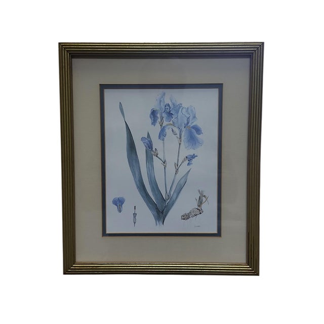 Terrific pair of Ann Gethen (British) framed floral prints, contemporary frames, fine double matting, both in excellent...