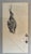 This is a framed reprint of Canvasbacks by Andrew Wyeth, one of the best-known American realist painters of the 20th...