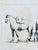Antique Original Horse Etchings, Circa 1700: Framed Equestrian Prints - a Pair For Sale - Image 6 of 15