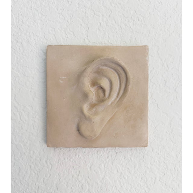 Figurative Vintage Plaster Relief of Ear For Sale - Image 3 of 9