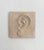 Figurative Vintage Plaster Relief of Ear For Sale - Image 3 of 9