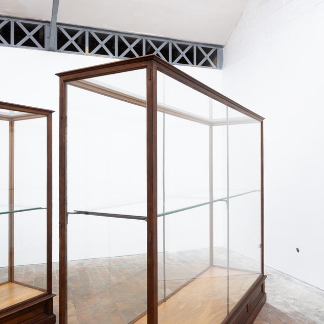 Antique Oak Museum Display Cases, 1910 For Sale - Image 11 of 18