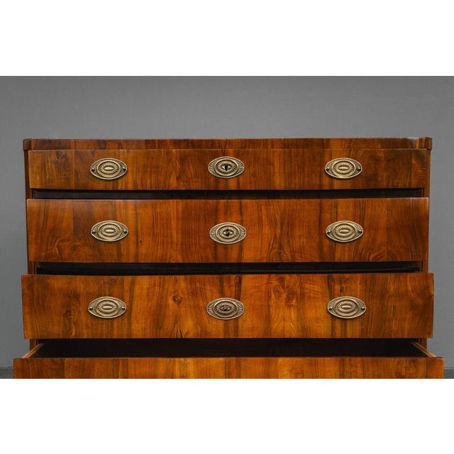 Biedermeier Chest of Drawers in Walnut For Sale - Image 16 of 18