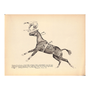 Happy Landing - Louis d'Or Pecked Llangollen Farms 1933 Reproduction