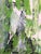 Mid-Century Modern Contemporary Original Framed Painting “Edge of Meadow” by Cassandra Auker For Sale - Image 3 of 8