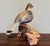 Realism 1990s Vicki Hughes, Signed, Hand‑Carved Ruffed Grouse Sculpture — Wildlife Art For Sale - Image 3 of 12