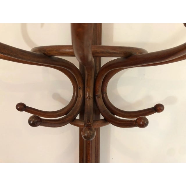 Half-Moon Parrot Coat Hanger For Sale - Image 9 of 13