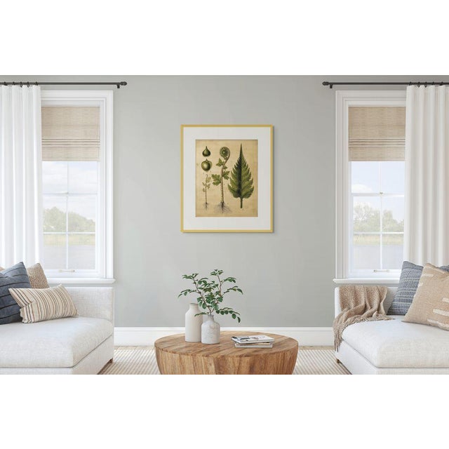 This botanical fine art print reproduces an antique botanical illustration depicting the distinctive structure of a fern,...