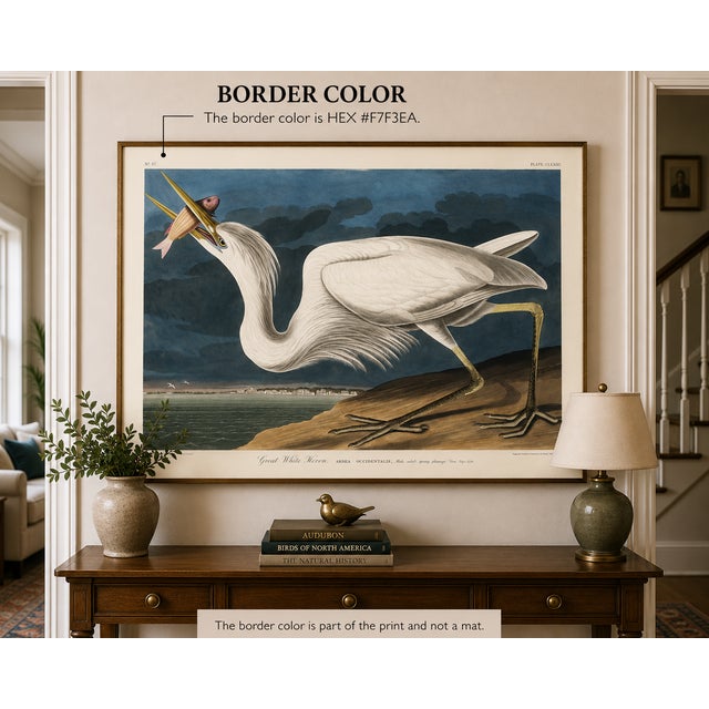 Vintage ornithological artwork reproduced from Birds of America by John James Audubon and refined for modern printing. The...