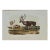 Audubon Caribou or American Reindeer: Original 19th C. Audubon Hand-Colored Lithograph, 1849-1854 For Sale
