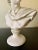 Grand Tour Classical Plaster Bust of Mythological Apollo Belvedere Sculpture For Sale - Image 3 of 7