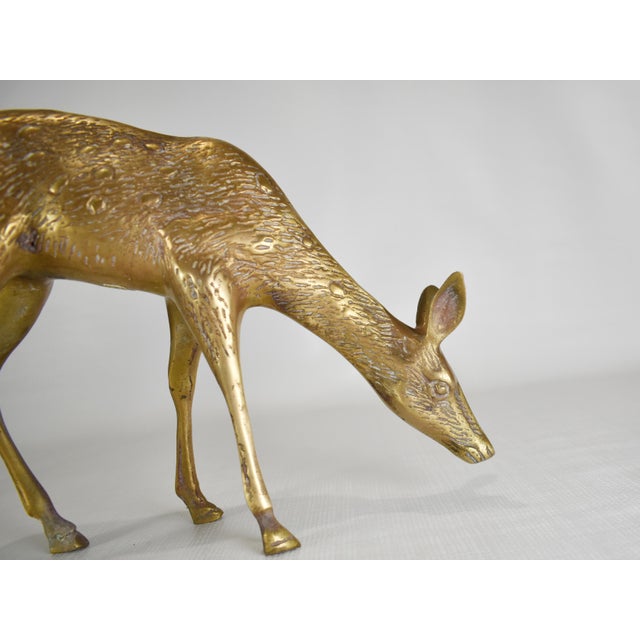 Solid Brass Buck & Doe Deer Animal Figurines a Pair Chairish