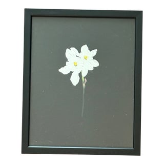 2025 Carolyn Misterek Giclee Print of White Daffodil in Custom Frame For Sale