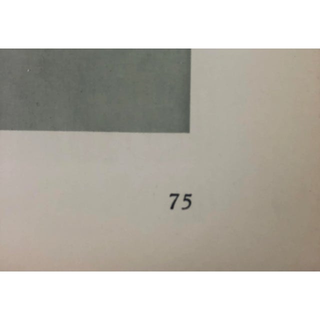 Framed Antique Photogravure Blossfeldt Botanical Print - No. 75 For Sale - Image 4 of 5