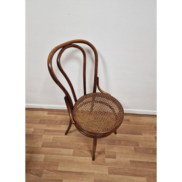 Brown Bent Beechwood Dining Chairs from Salvatore Leone, Late 19th Century, Set of 4 For Sale - Image 8 of 11