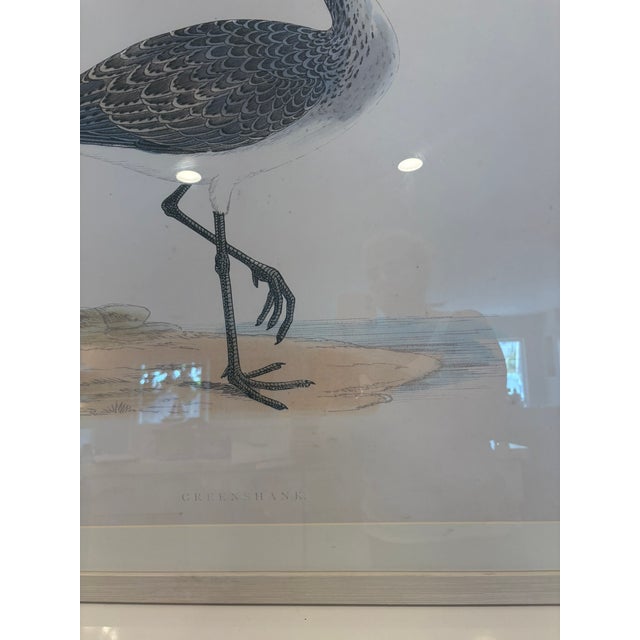 Oversized Ballard Designs Audubon Style Coastal Shorebird Prints – A Pair For Sale - Image 16 of 16