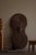 Antique African Shield, 1890s For Sale - Image 4 of 17