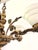 Neoclassical Bronze 6-Light Chandelier, 1950s For Sale - Image 10 of 13