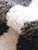 Moroccan Contemporary Wool Rug - 8.3 X 5.8 Ft For Sale - Image 4 of 10
