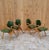 Mid Century Modern Thonet Bent Plywood Dining by Joe Atkinson - Set of 4 Beautiful set of 4 MCM bent plywood blonde...
