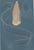 Paper Richard Lydekker, Ctenophores (Comb Jellies) Marine Invertebrates, 1896, Color Process Print For Sale - Image 7 of 9