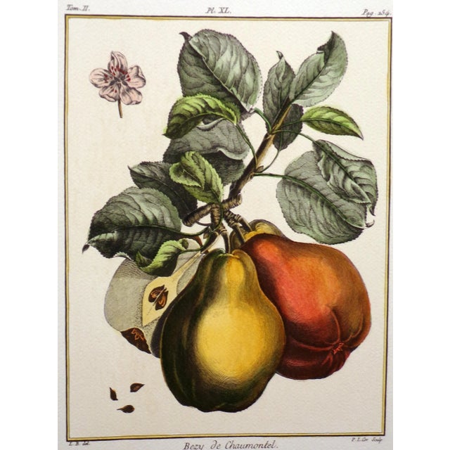 Saillant & Desaint, Paris, 1768. Print. Condition: Image is in great condition with no damage. The margins of the paper...