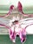 Cerise 1970s Murano Cerise Pulled Art Glass Bowl For Sale - Image 8 of 12