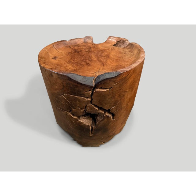 2010s Andrianna Shamaris Large Sculptural Teak Wood Tray Side Table For Sale - Image 5 of 5