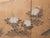 1970s "Plum Blossom, Peony, Iris", 1970s Showa Era Japanese Painted Byobu Screen For Sale - Image 5 of 18