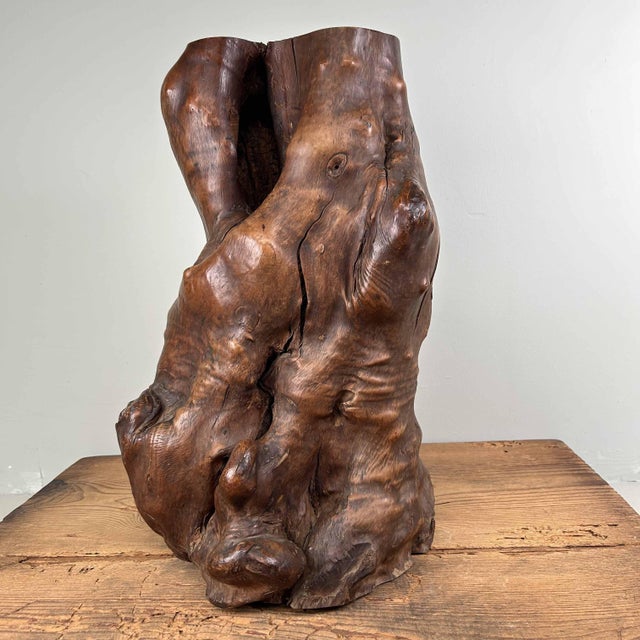 Japanese Decorative Burl Wood Tsuge, 1920s For Sale - Image 6 of 18