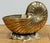 Metal Vintage Brass Nautilus Shell Planter For Sale - Image 7 of 9