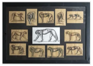 Johan Etiennette, Panther, Pastel Sketches on Paper, Framed
