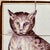 Antique Delftware Tabby Cat: A Six Tile Panel For Sale - Image 4 of 12