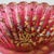 Late 19th Century Moser Cranberry Glass Shell Dish With Enamel & Gilt For Sale - Image 11 of 18